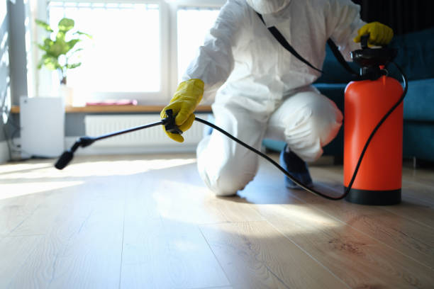 Reliable Odor Removal contractor in Cohasset, MA by Trauma Clean Pros